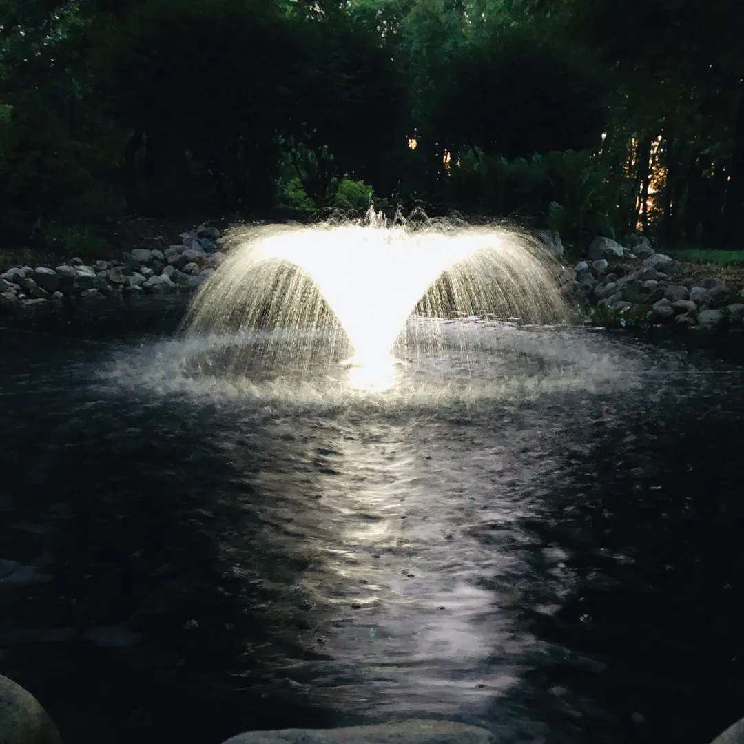 EasyPro Starburst Mini Floating Pond Fountain with Super Bright LED Lights